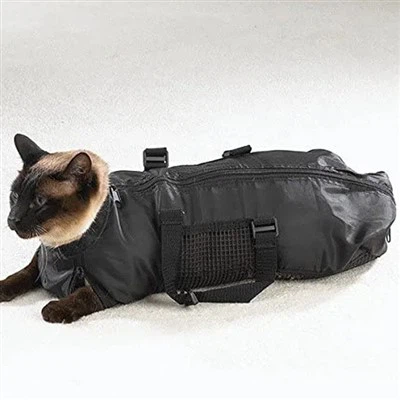 حقيبة حمل القطط